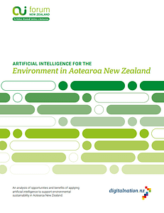 Cover of the ai for environment report