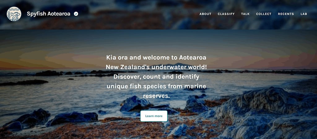 Homepage of the Spyfish Aotearoa community science webpage.