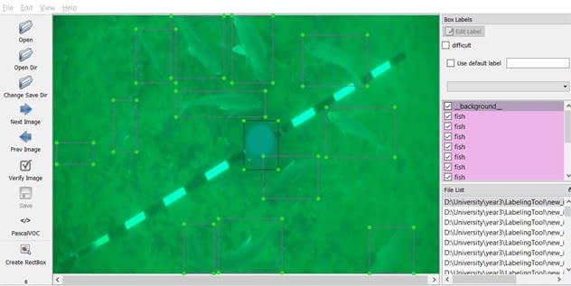 A manually labelled frame of baited underwater video A manually labelled frame of baited underwater video