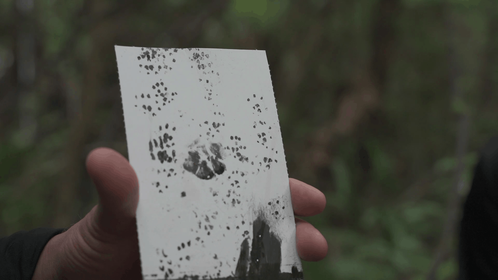Footprints on a tracking card